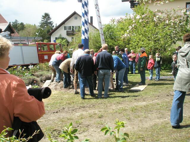 Der Maibaum steht, nun kommt der Kranz dran