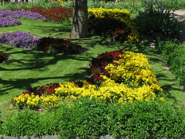 Herrliches Blumenmeer