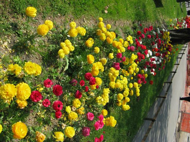 Bunte Farben
