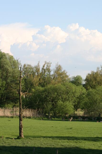 Blick nach Süden