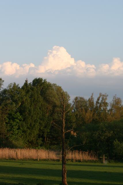 Blick nach Süden