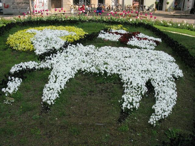 Blumen am Domplatz zu Sterzig