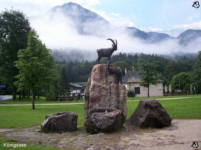 Königssee - Neben dem Parkplatz