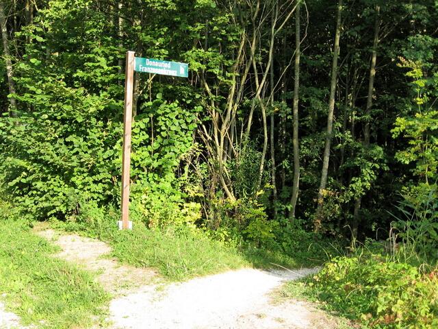 Wald- und Radweg von Dillingen ins Donauried und zur "Nusser Alm"