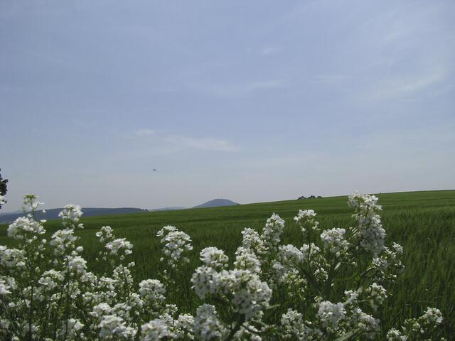 Noch einmal Blick zum Bärenstein
