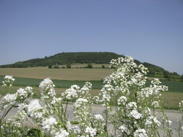 Und noch ein Blick zum Pöhlberg