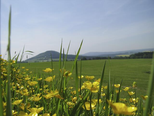 Blick zum Bärenstein (Fichtelberg hinten rechts)