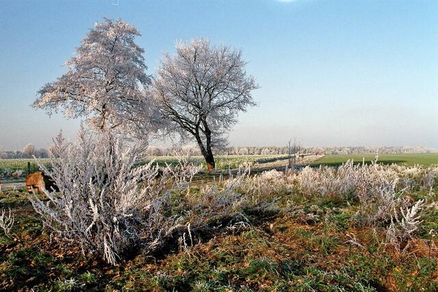 Winterimpressionen am Nordrand von Thönse