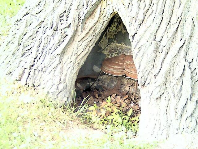 Höhle ins Zwergenreich