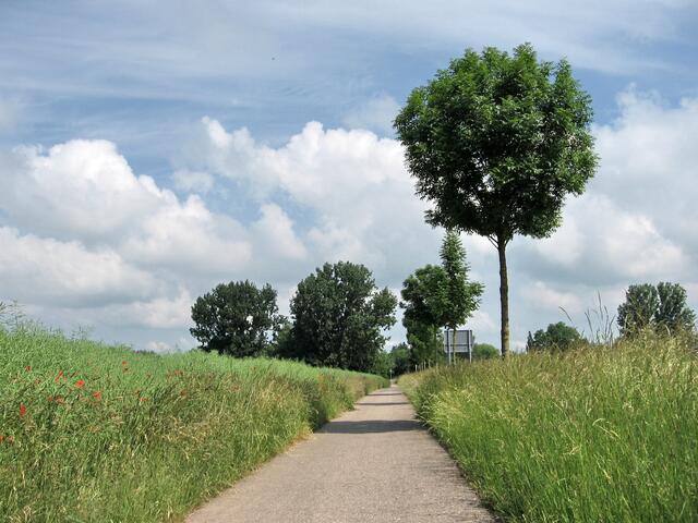 Mit dem Rad zum Badesee: Durch diese hohle Gasse muß er fahren