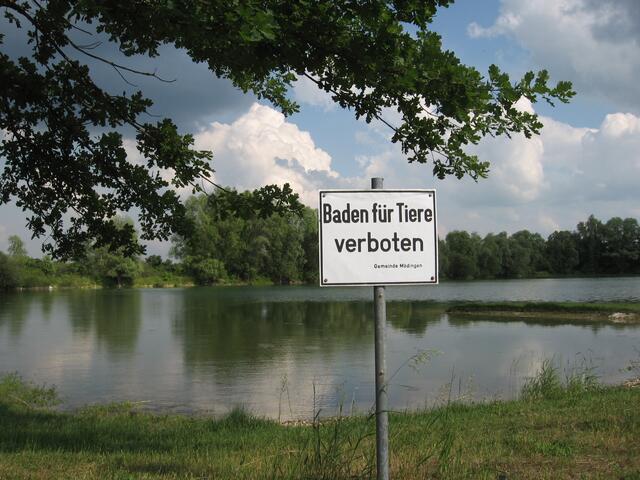 Badeweiher nördlich des Schabringer Weihers (neben der Straße nach Bergheim)
