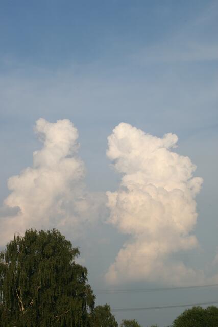 11.06.08 Wolkenberge - wie Nachbarinnen beim Ratschen