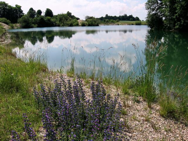 Baggersee hinter der Trocknungsanlage Donaualtheim