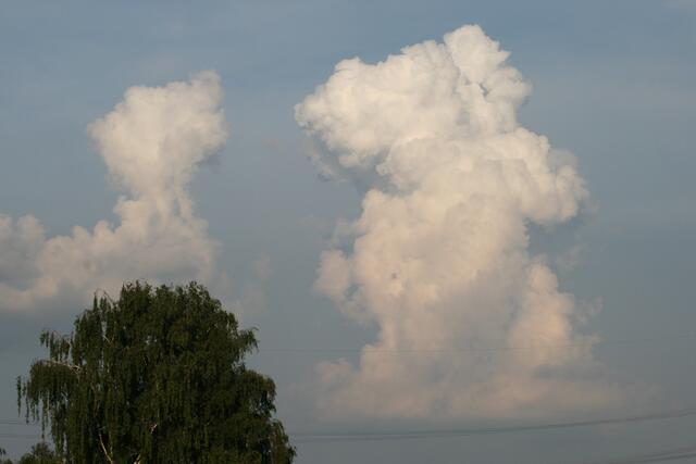11.06.08 Wolkenberge