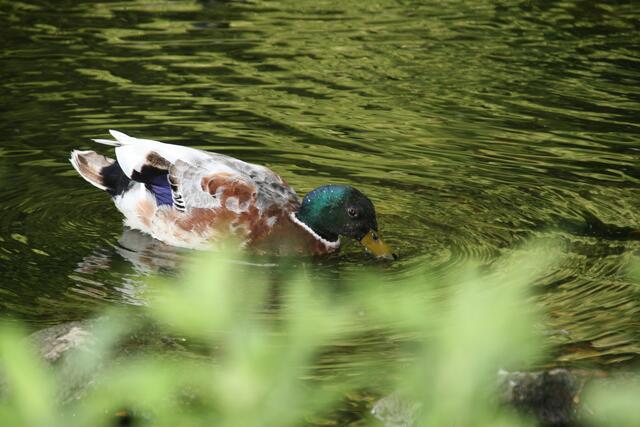 mir dreht sich alles