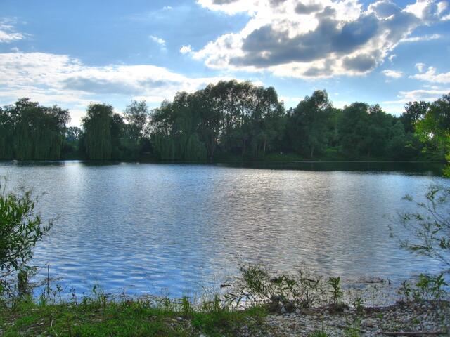 Schabringer Weiher, Westseite