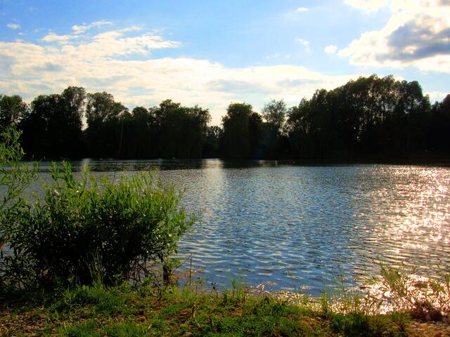 Schabringer Weiher, Westseite