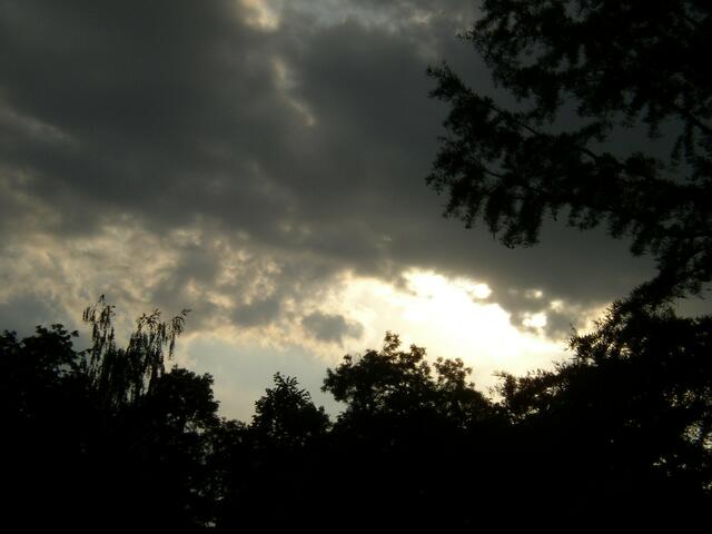 Ein starkes Gewitter im Anzug......