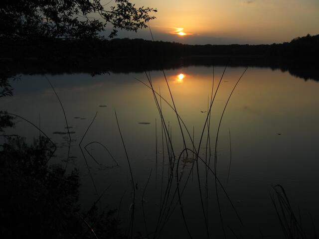 Bilderbuch-Sonnenuntergang am Auwaldsee bei Lauingen