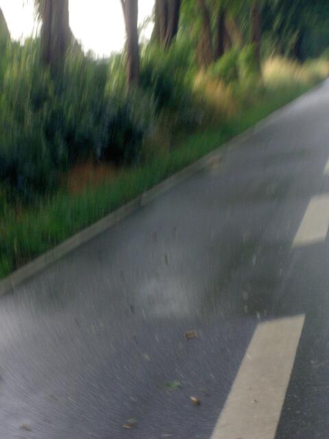 Blick nach hinten