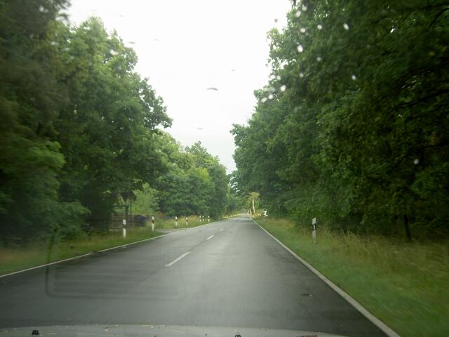 Wald