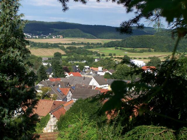 Ein Blick aus dem Wald