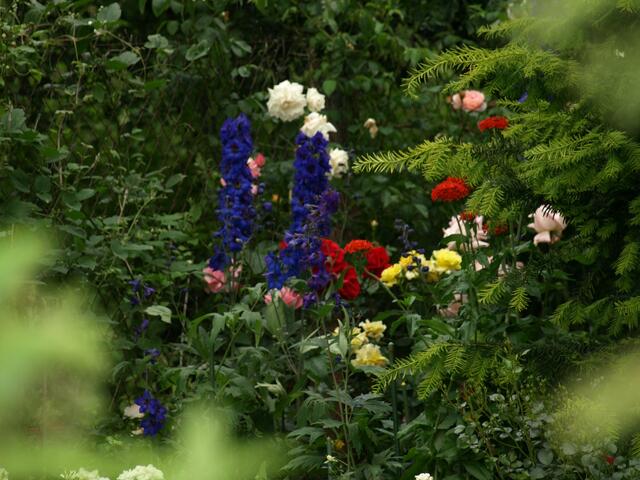 in Nachbars Garten