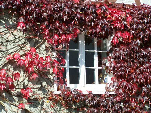 und im September