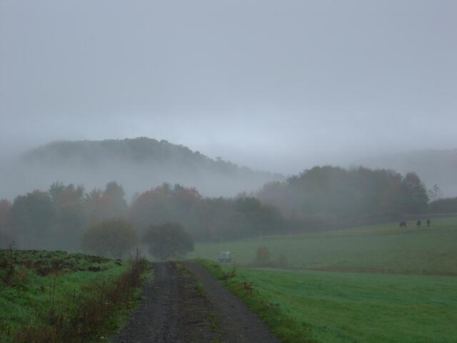 Herbstnebel