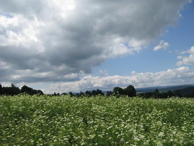 Himmel und Erde.