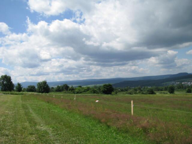 Blick über das Feld zum Fichtelberg