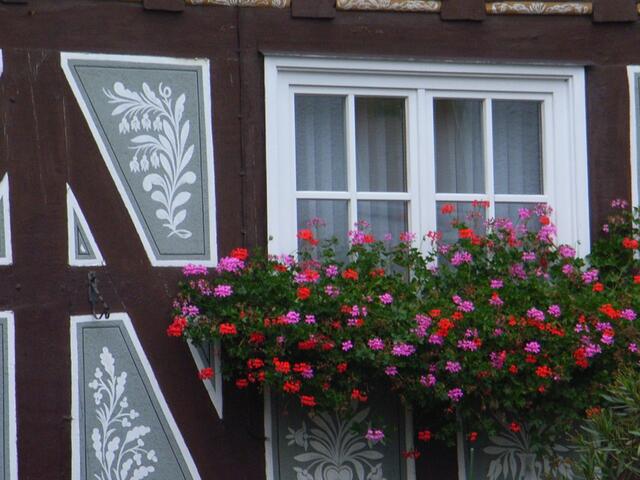 Fenster