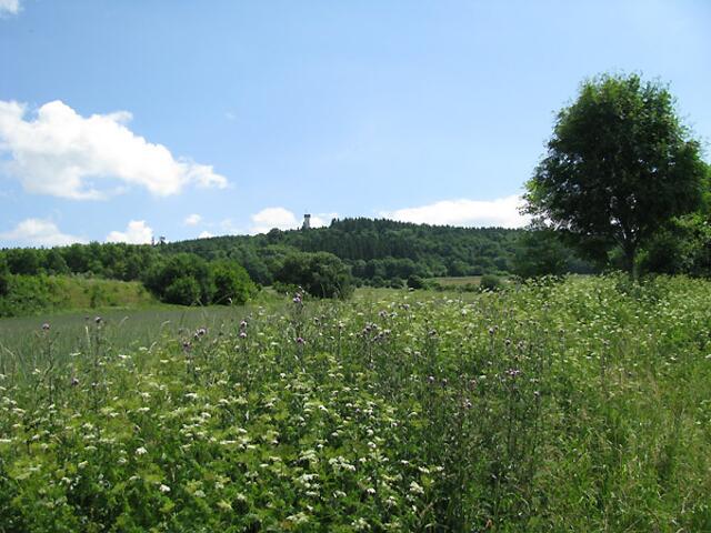 Mitten in der Wildnis.