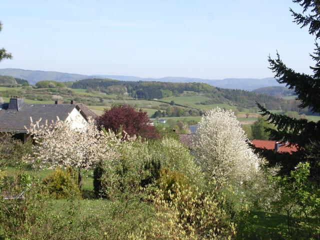 Frühling überall