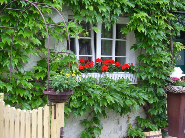 Fenster im Juni