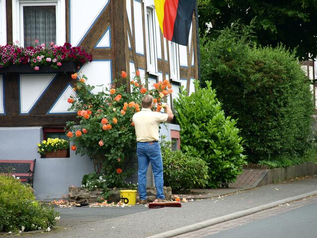 Rosenfreund
