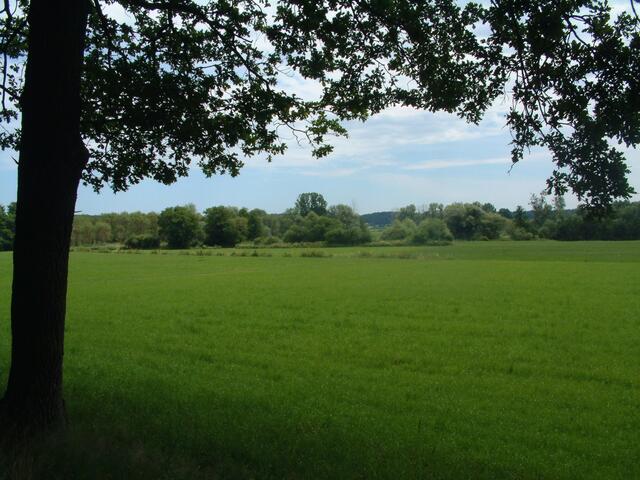Am Leinfelderkanal entlang hat der Wanderer eine wunderschöne Aussicht auf die auwaldähnlichen Gehölzstrukturen entlang der Alten Paar.