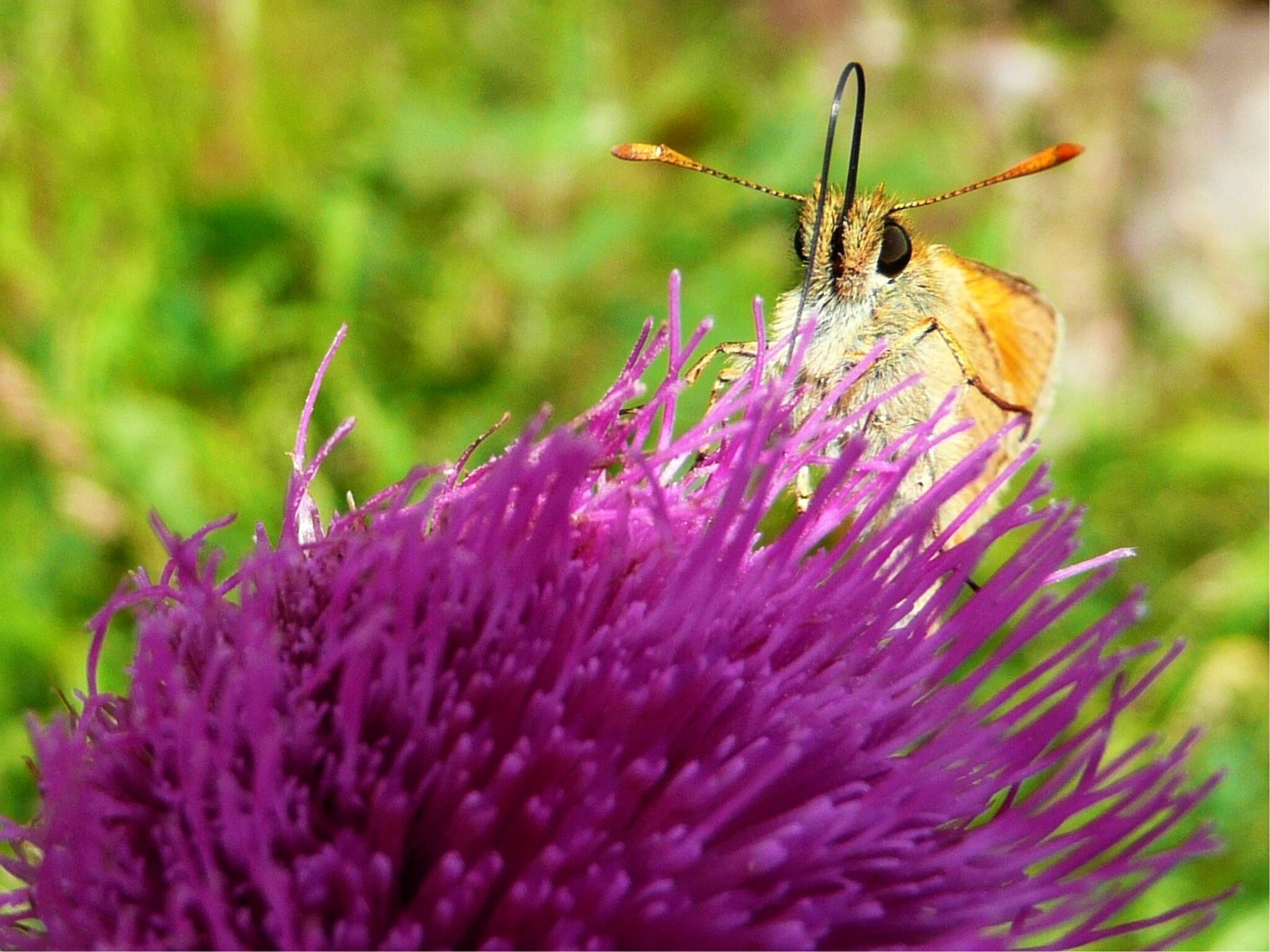 „Sonntag ½ 10 im Anhausertal.“ Gersthofen