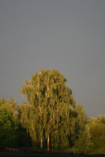 20.40 Uhr Blick Richtung Ecknach