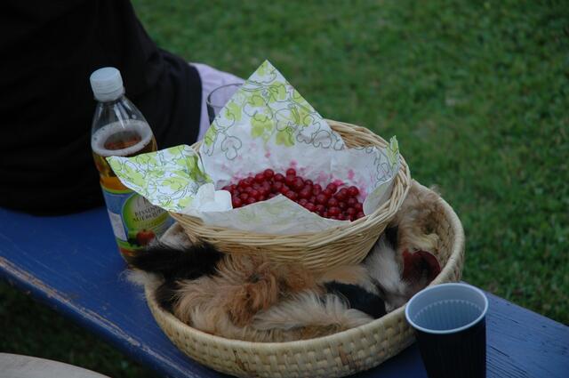 Damals und heute - Jäger und Sammler