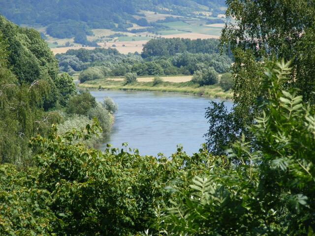Weser Richtung Polle