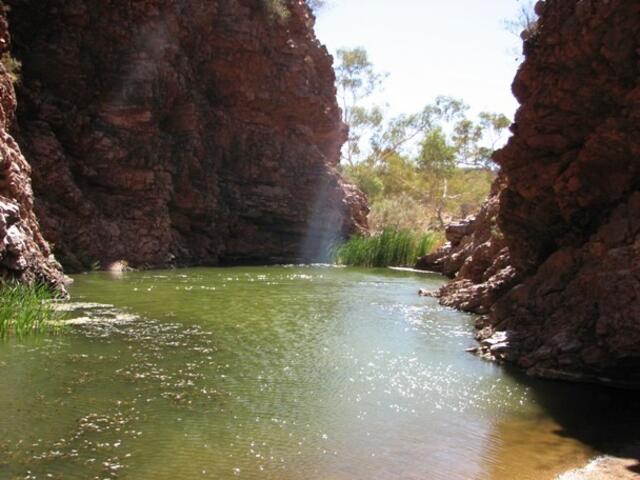 ... Wasserloecher sind Lebensquell der Tiere im Outback ...