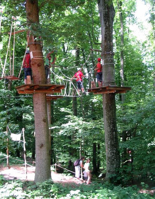 Schloss Scherneck  - Kletterwald Robins Wood