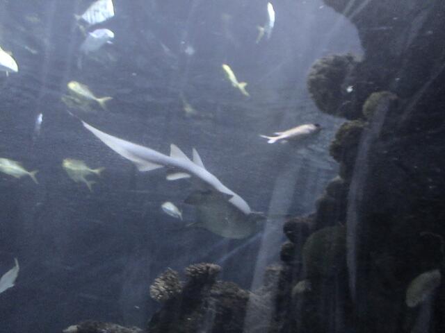 Im Wassertunnel