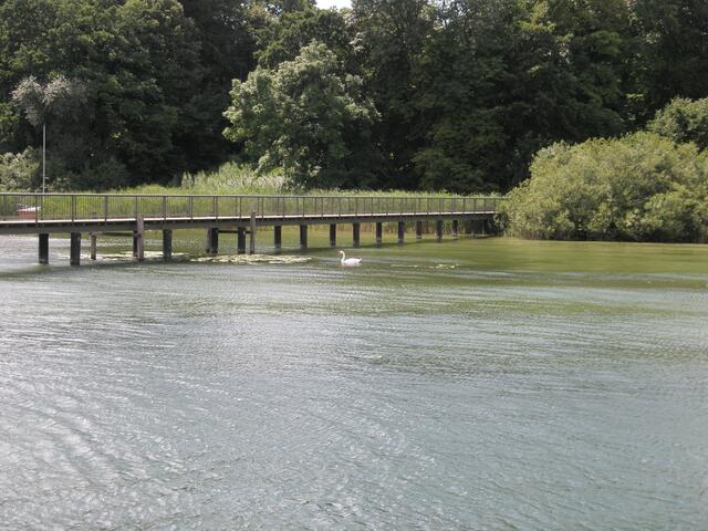 Anlegestelle Holzhausen