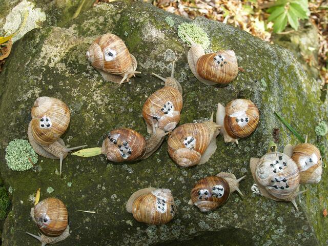 Schneckisches Gruppenbild