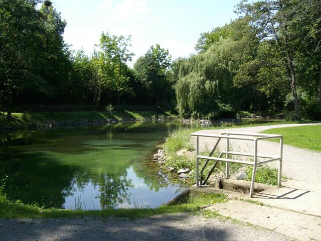 Blick zum Teichablauf