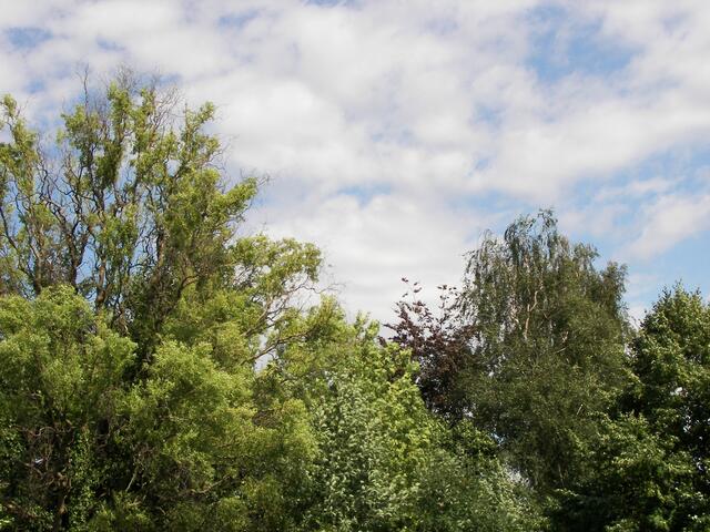 nun hat der Wind alles durcheinander gebracht