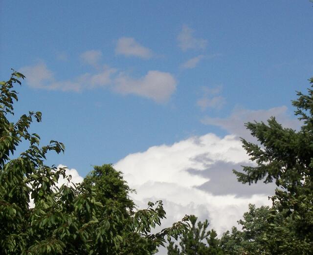 ein wenig grau, ganz viel weiß und fertig ist Schei.... --- ...benkleister -- zehn Minuten später wurden wir klitschnass!