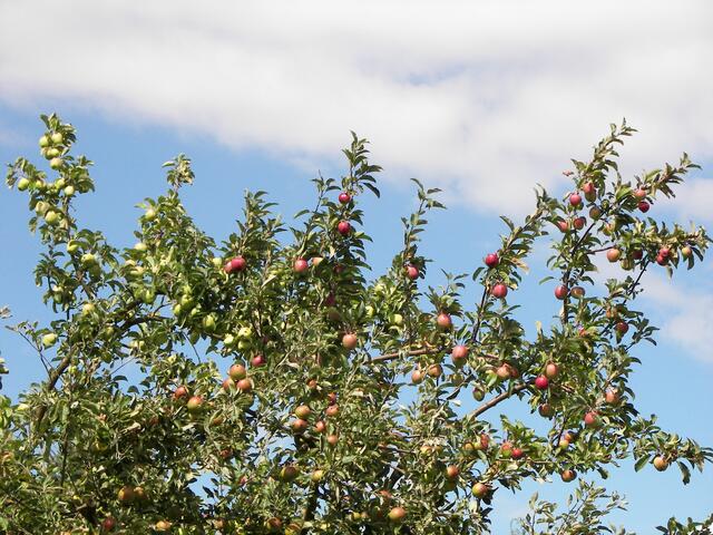 der Dunst verzieht sich nur scheinbar